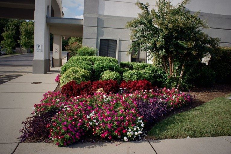 Flower Installation