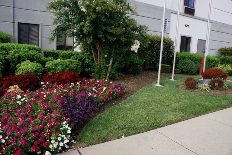 Flower Bed Installation by Office Entrance