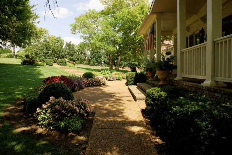 Flowers by a walkway