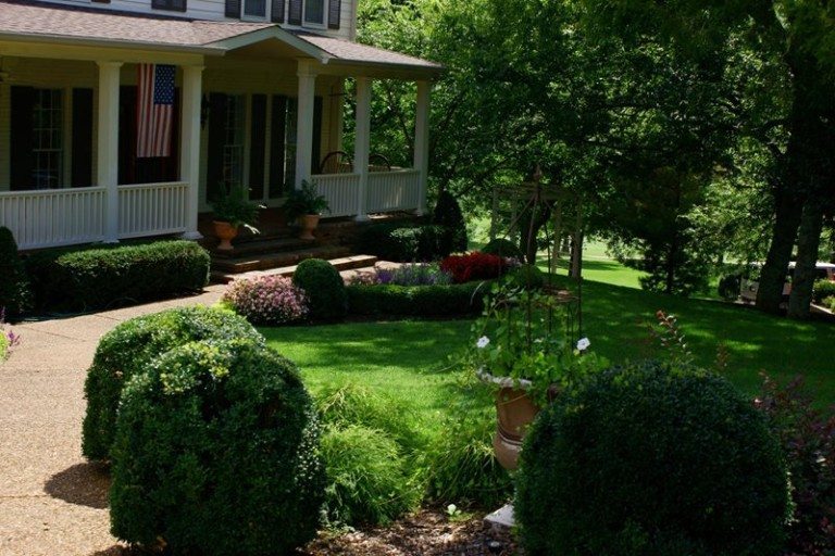 Small bushes by the walkway