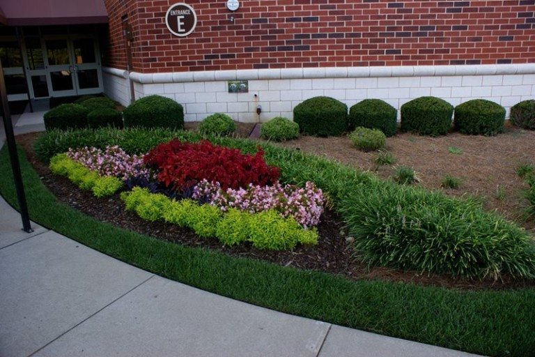 Landscaping by office building