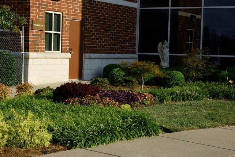 Landscaping by office building, side view