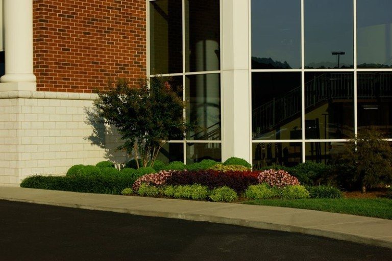 Flower bed by a building