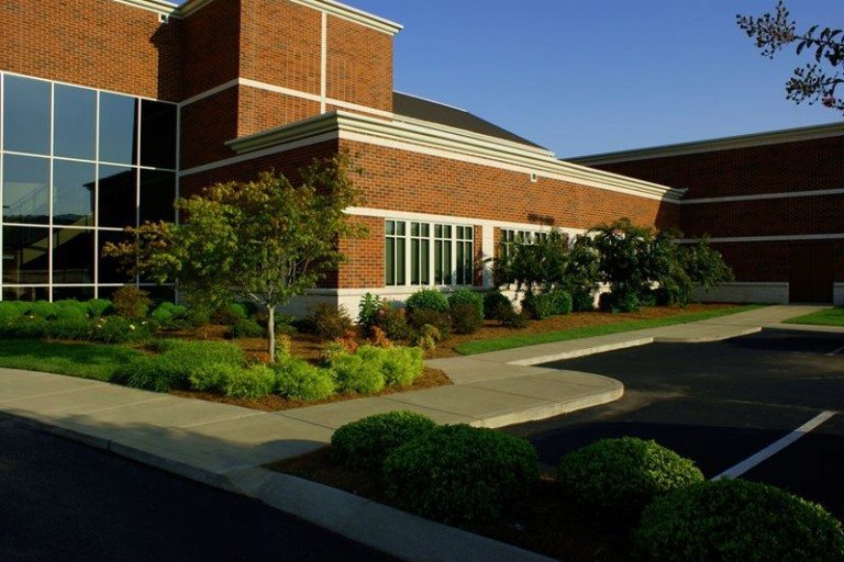 Landscaping by a parking lot