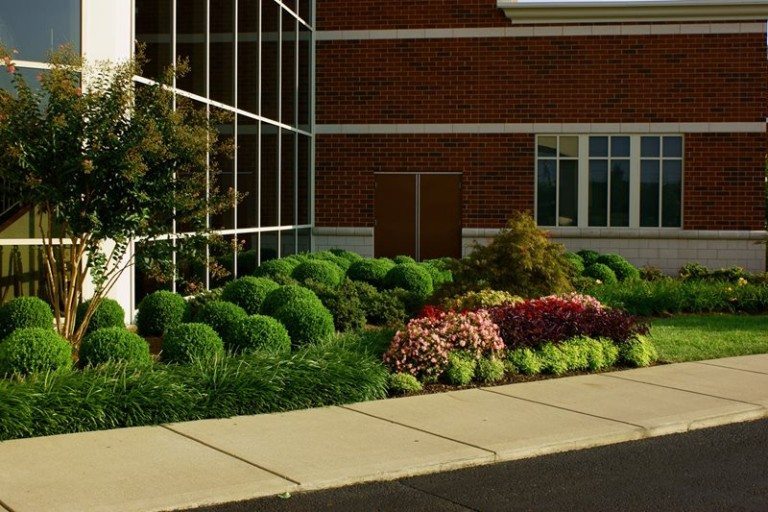 Landscaping by a building