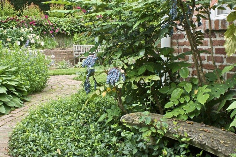 Close up of brick walkway and garden