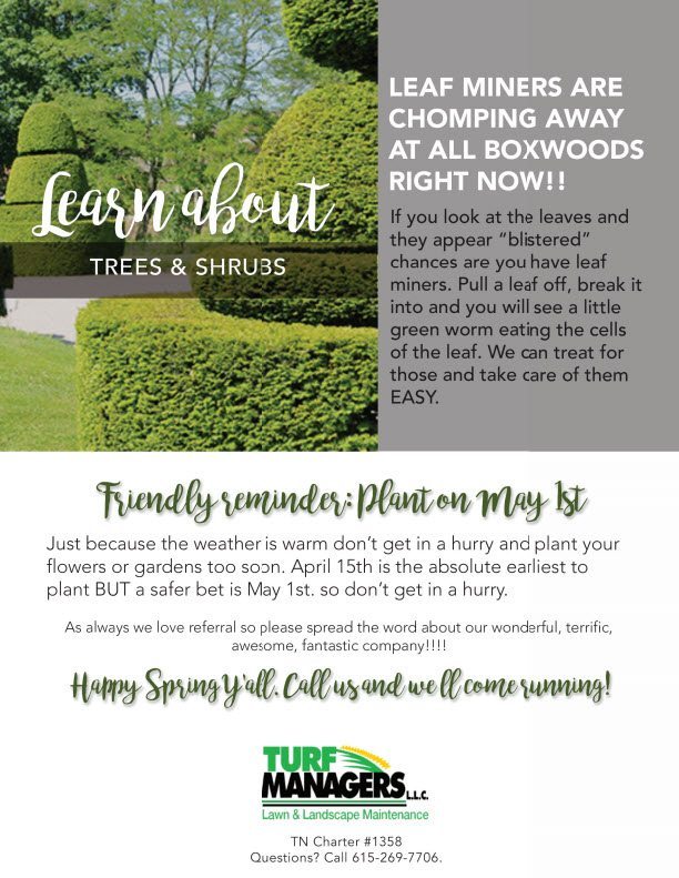 Lawndry Lines May 2016 Page 2