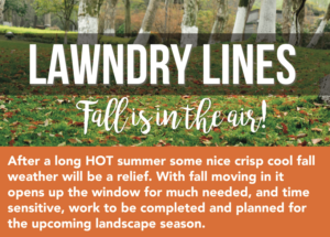 Fall services Turf Managers