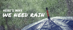 Rain Turf Managers