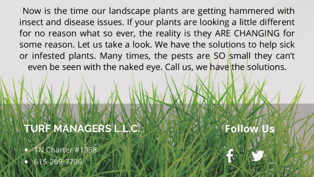 Services Turf Managers