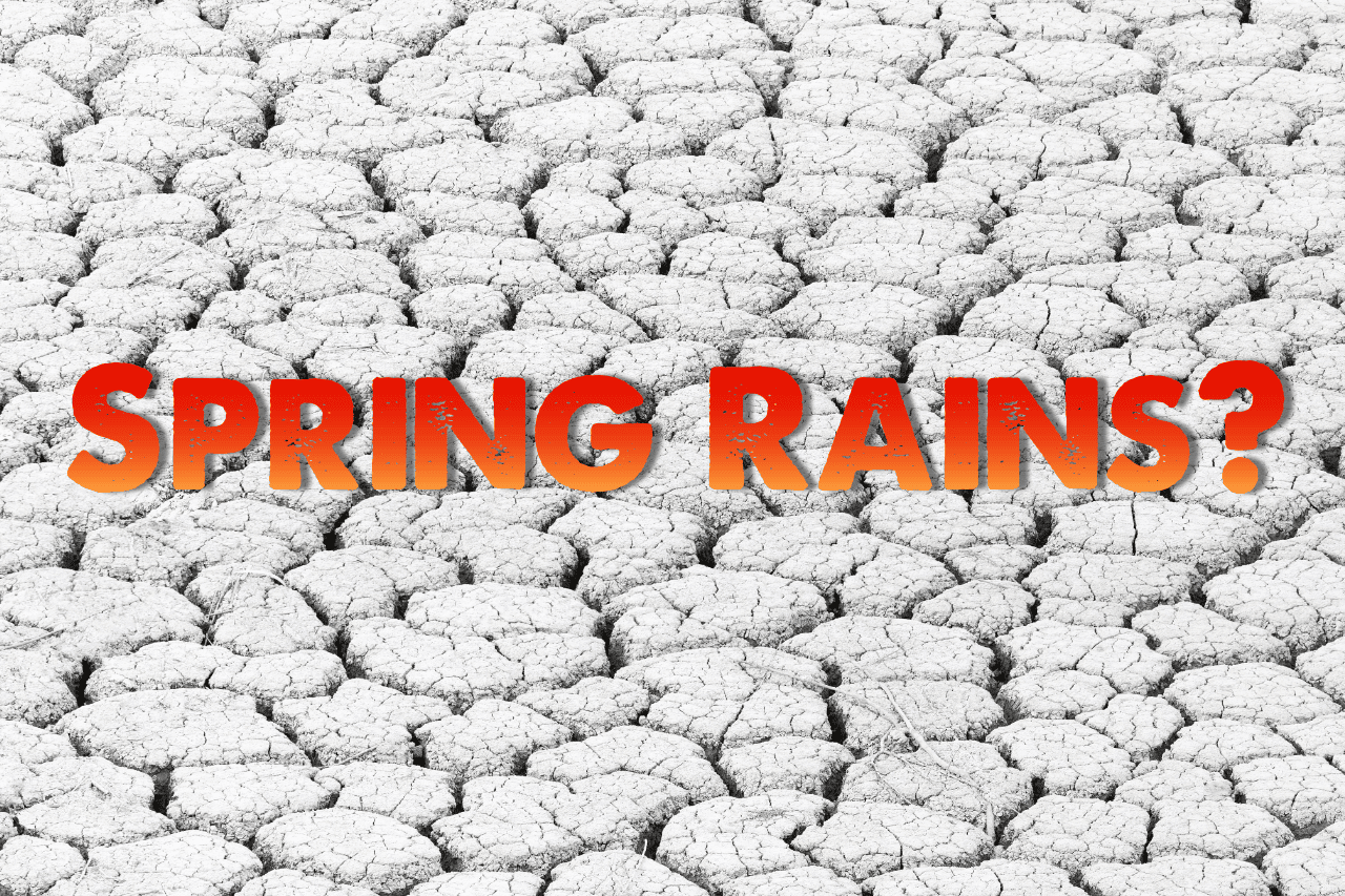 Spring Running Dry June Lawndry Lines 2019 - Turf Managers