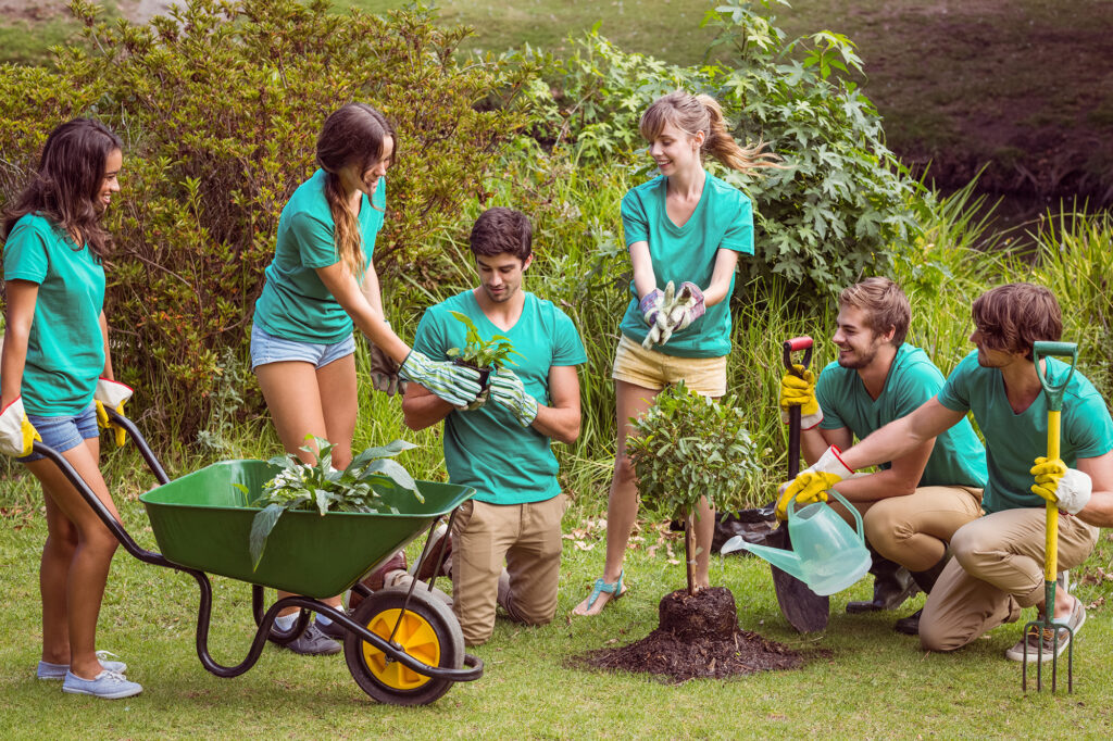 Gardening Turf Managers