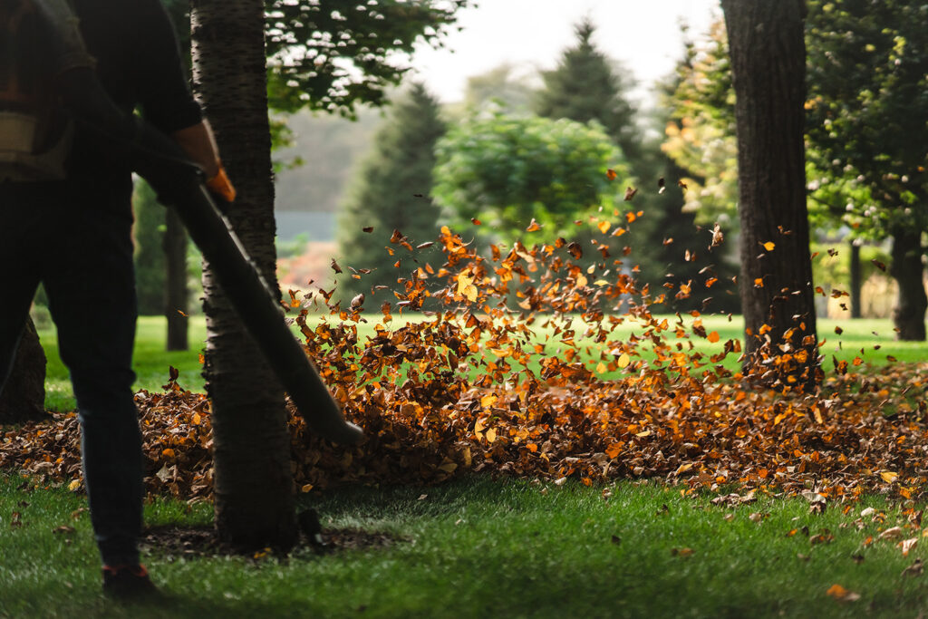 Shrub care Turf Managers