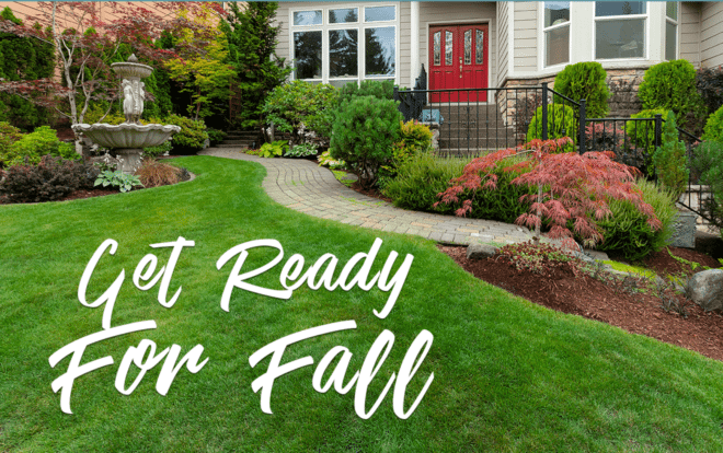 Get your lawn and yard ready for the fall