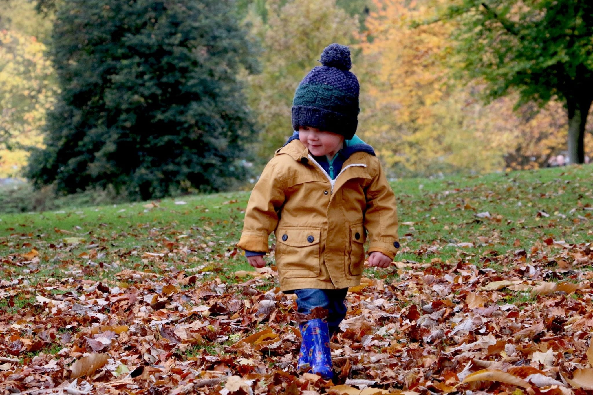 Can Fall Leaves Damage Your Yard? | Nashville Landscaping