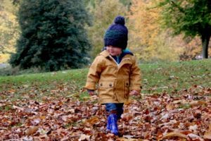 Small Child Walking on Fallen Leaves in Yard