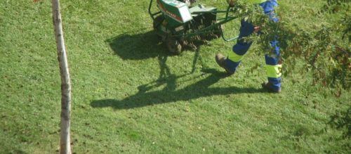 Lawn Aeration Services