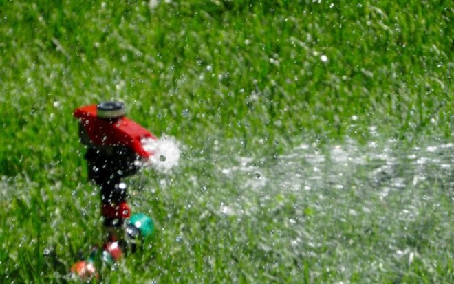 Summer Lawn Care - Water Sprinkler